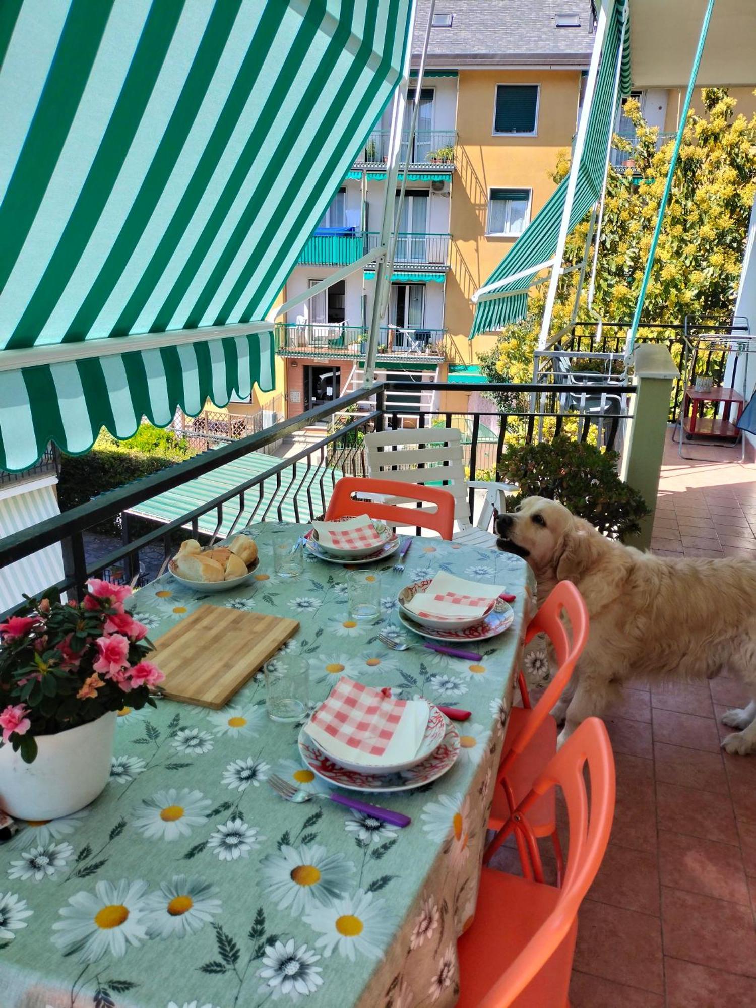 Yellow Submarine Freeparking Petfriendly Rapallo Exterior foto
