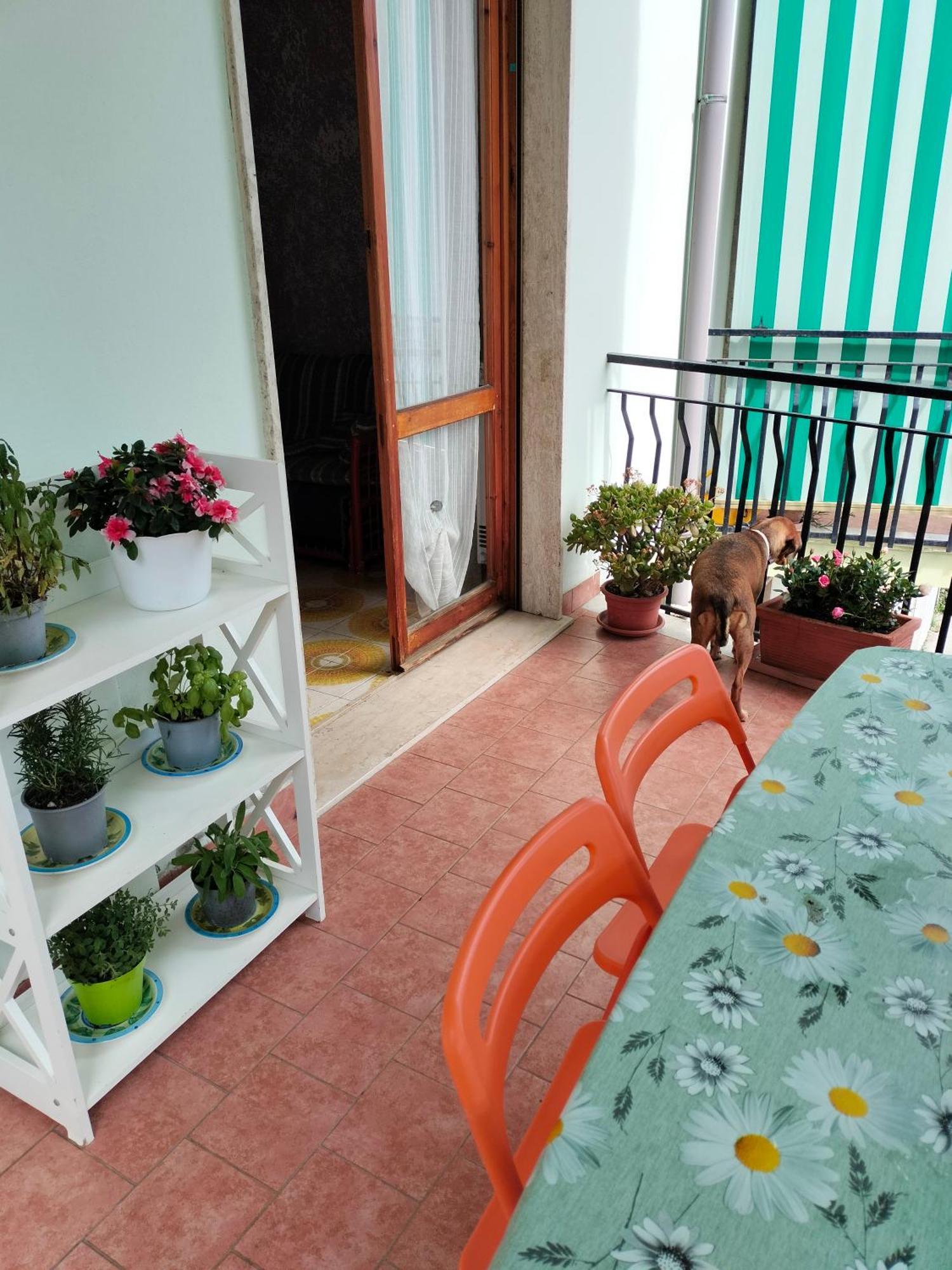 Yellow Submarine Freeparking Petfriendly Rapallo Exterior foto